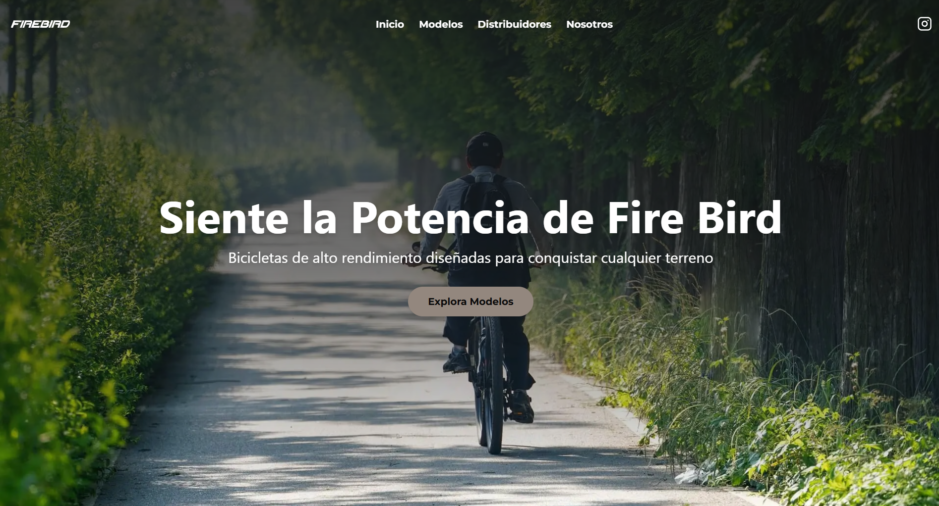 Firebird Bikes